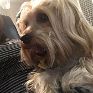 Meet your Posher, Samantha